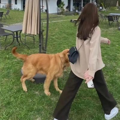 凤凰四重奏粤语